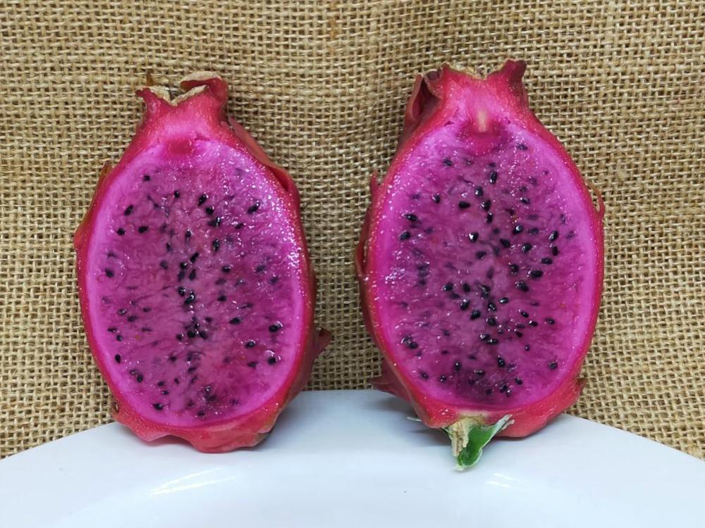 Malaysian Purple dragon fruit picture